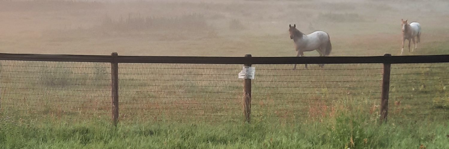 Jason Strudwick banner