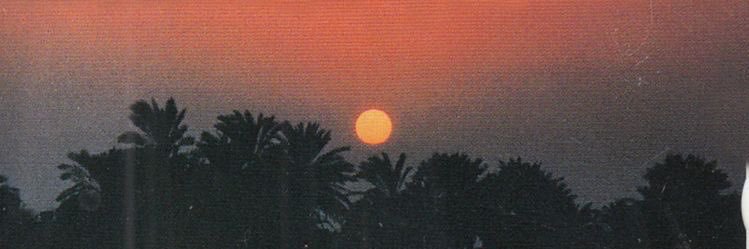 Andrew Rae banner