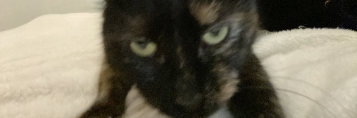 kiolass's profile banner image