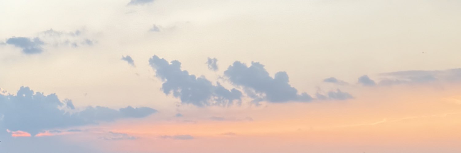 yellowbbear's profile banner image