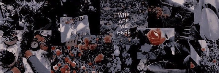 ssa__1430's profile banner image