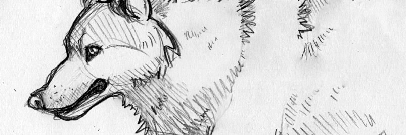 Riel Teris banner