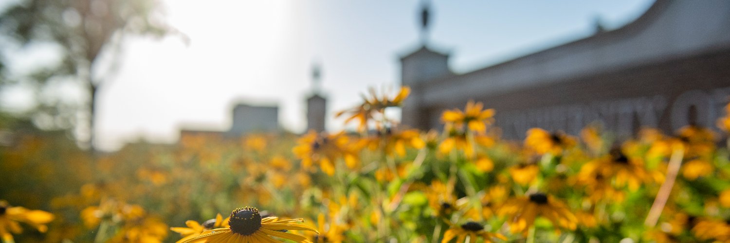 USM Foundation banner