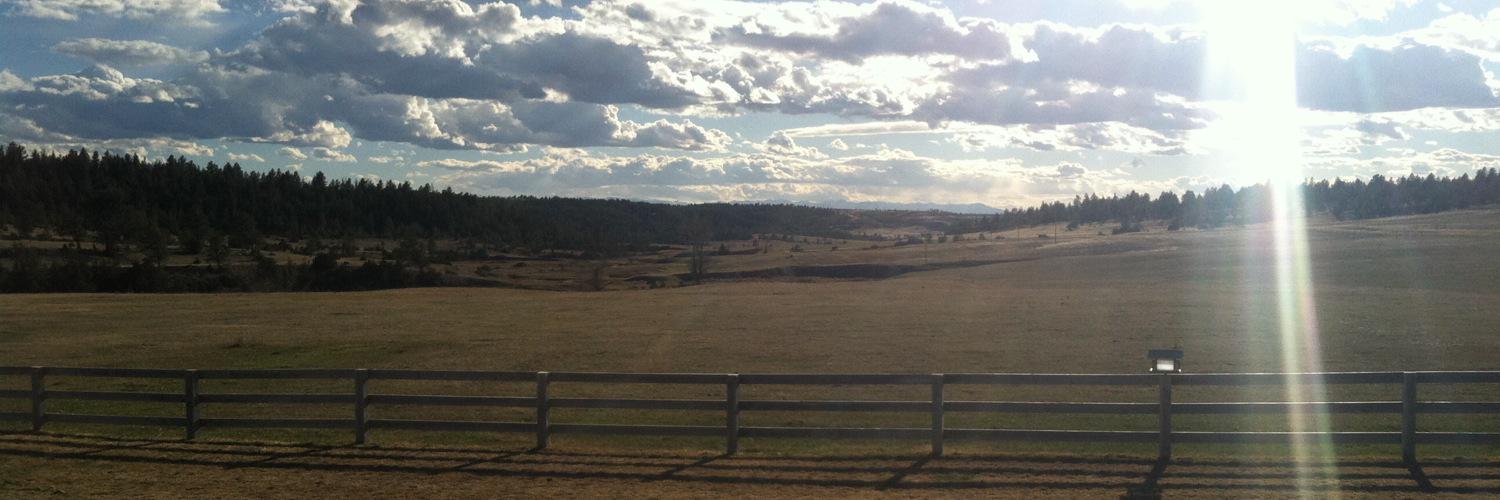 Shawntisch's profile banner image