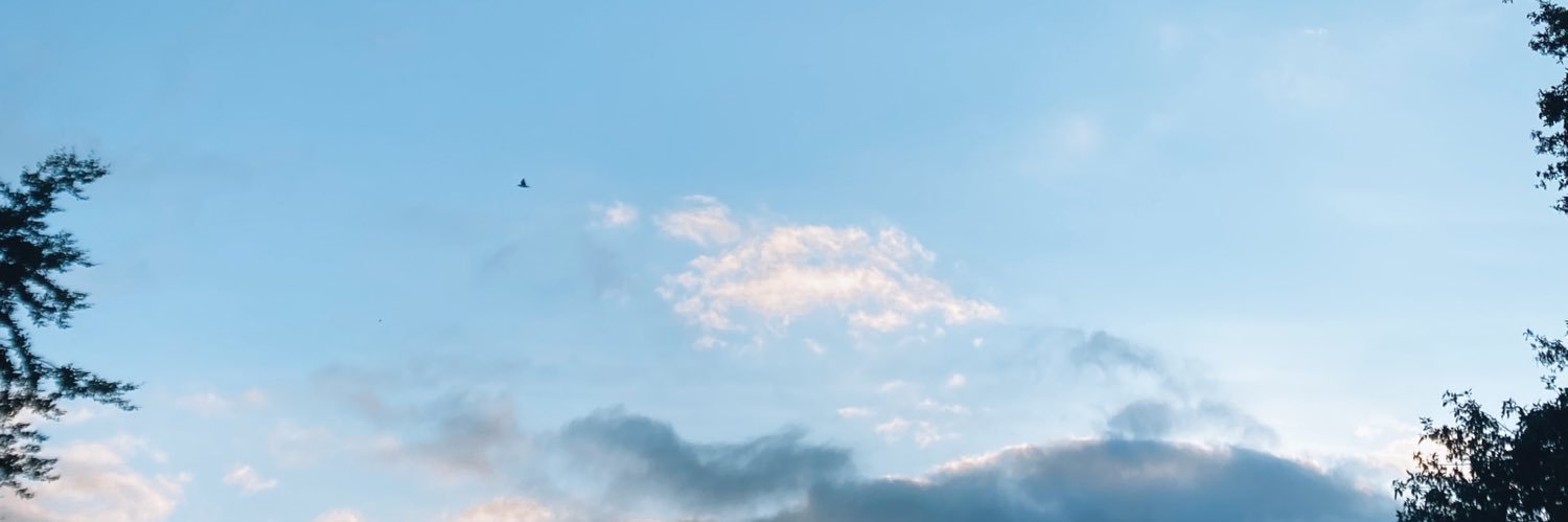 Freypriv's profile banner image