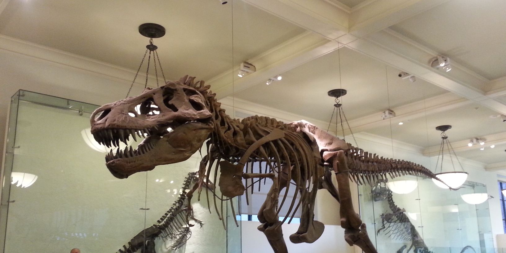 Zack Greenfield banner