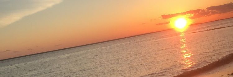 Jmedi1111's profile banner image