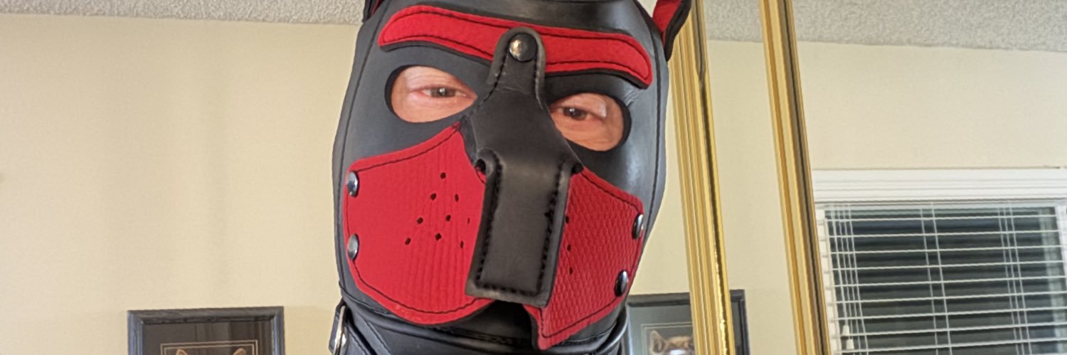 SabreToothTeeko's profile banner image