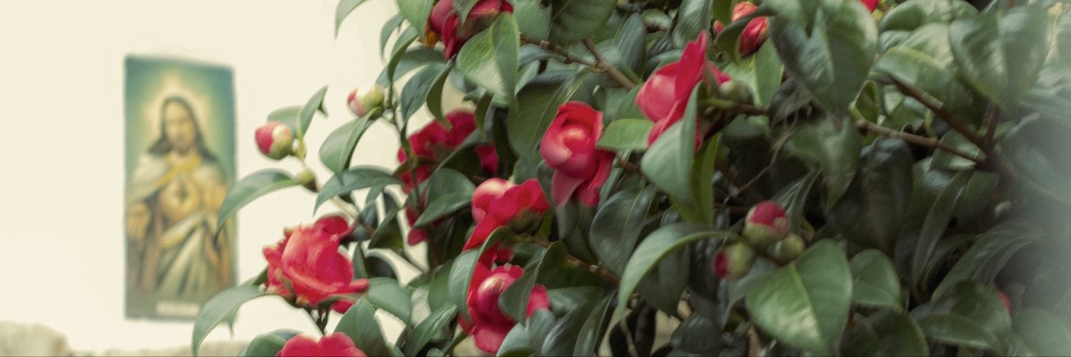 sofitamac's profile banner image
