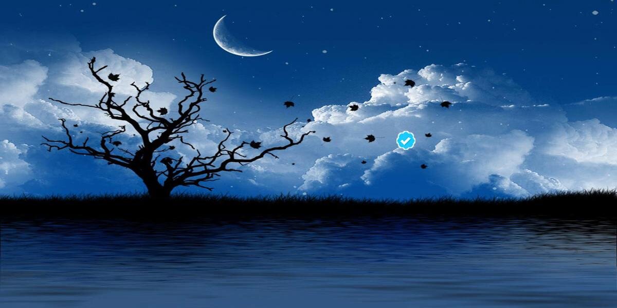 SleeplessOwl_'s profile banner image