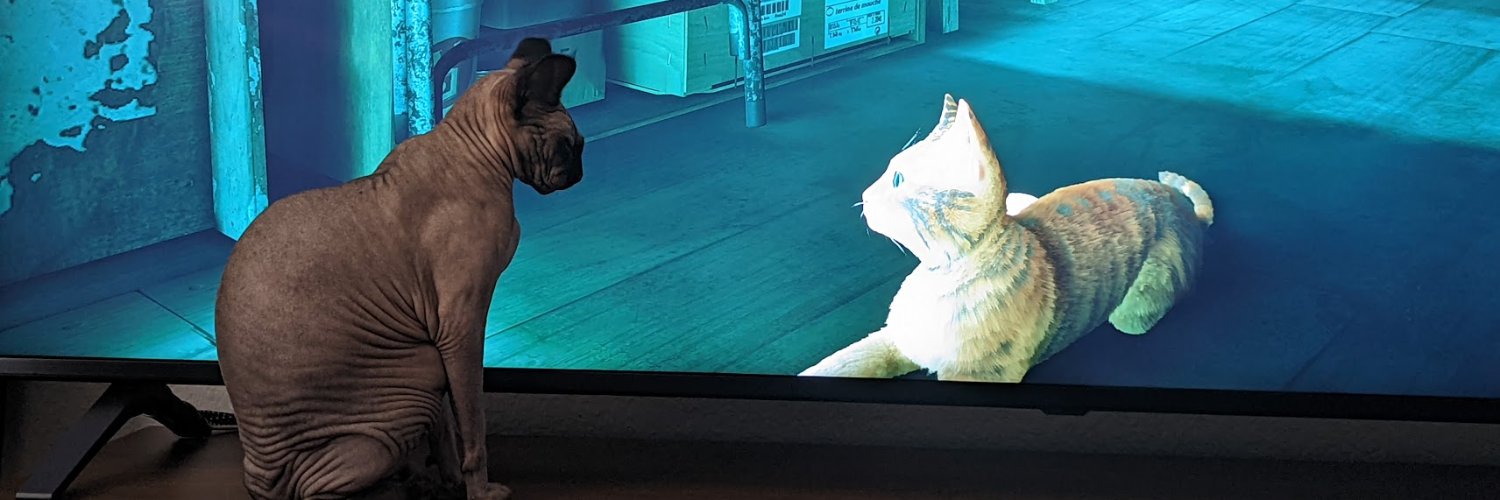 thePoulay's profile banner image