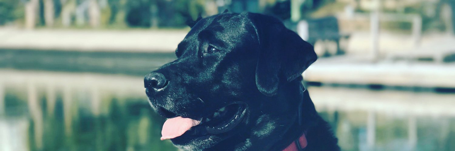 Retriever32's profile banner image