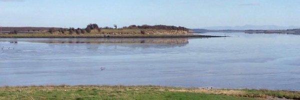 cursedbyaclown1 Profile Banner