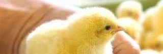 AKEREUS's profile banner image