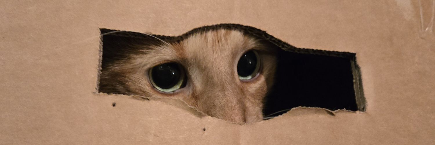 Bobby Apartment banner