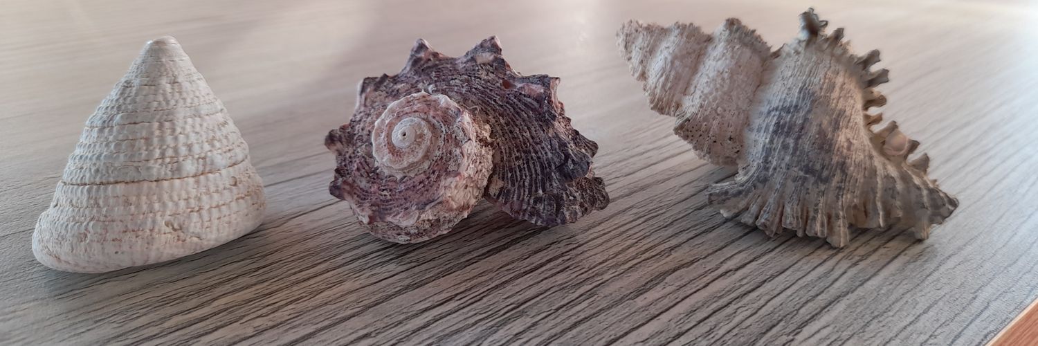 Er ol 🇹🇷 banner