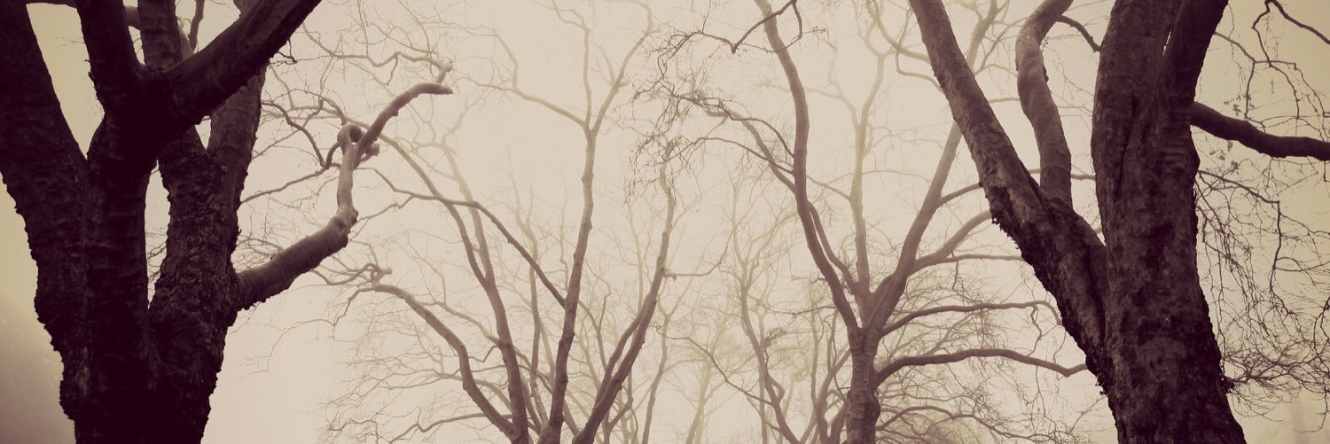 missintims's profile banner image