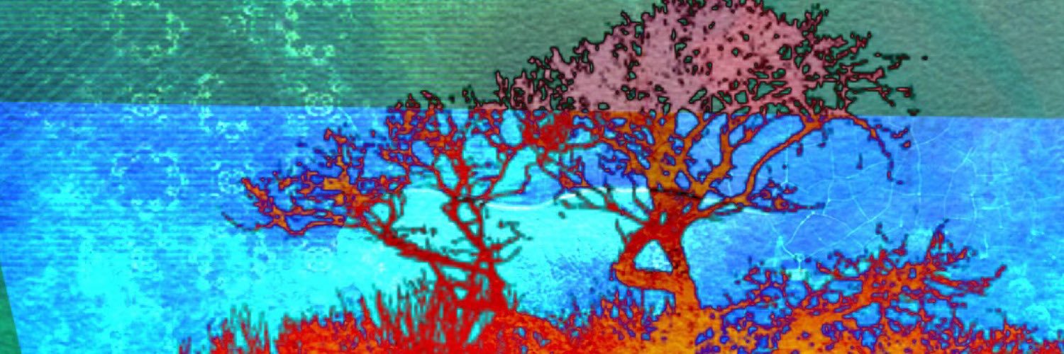 STEMEdLisa's profile banner image