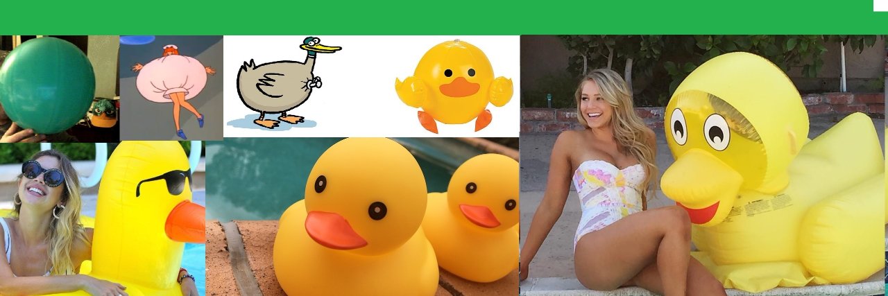 dduckman16's profile banner image