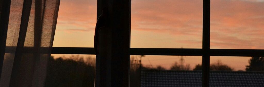 mrkvpln's profile banner image
