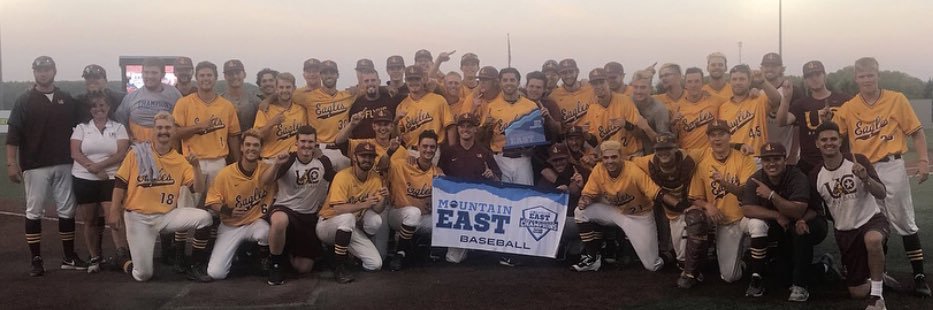 Steven Davis II banner