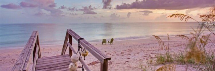 lazoran's profile banner image
