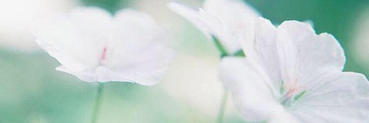 debfitzy's profile banner image