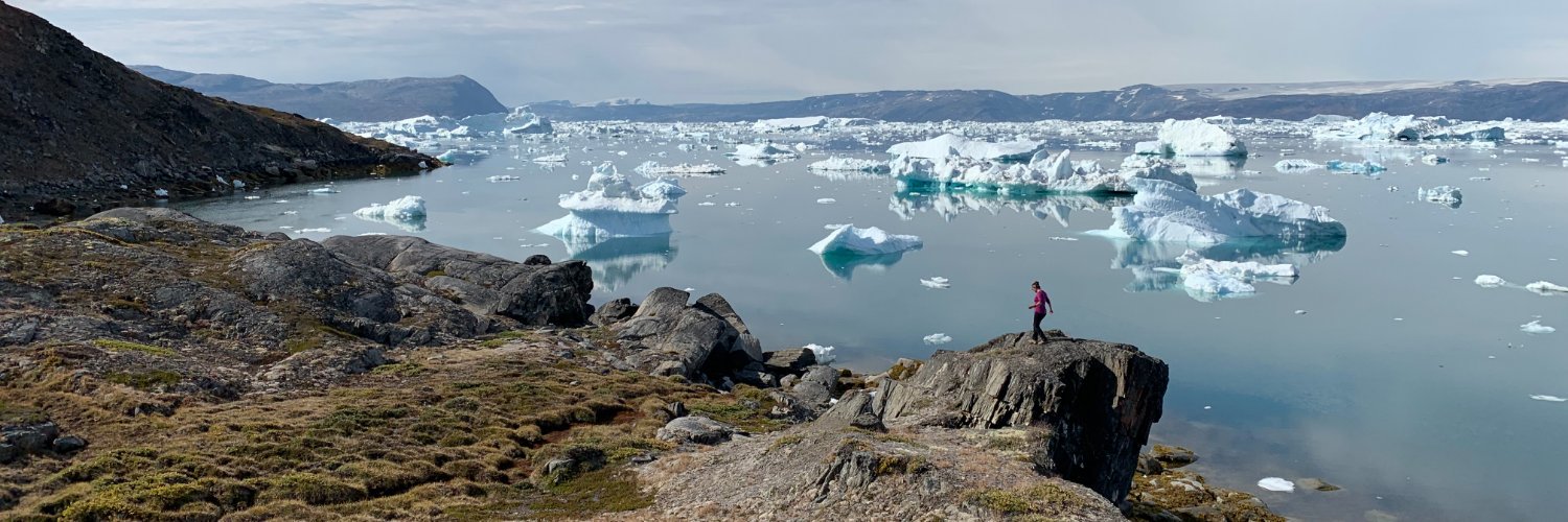 Christine Idzelis banner