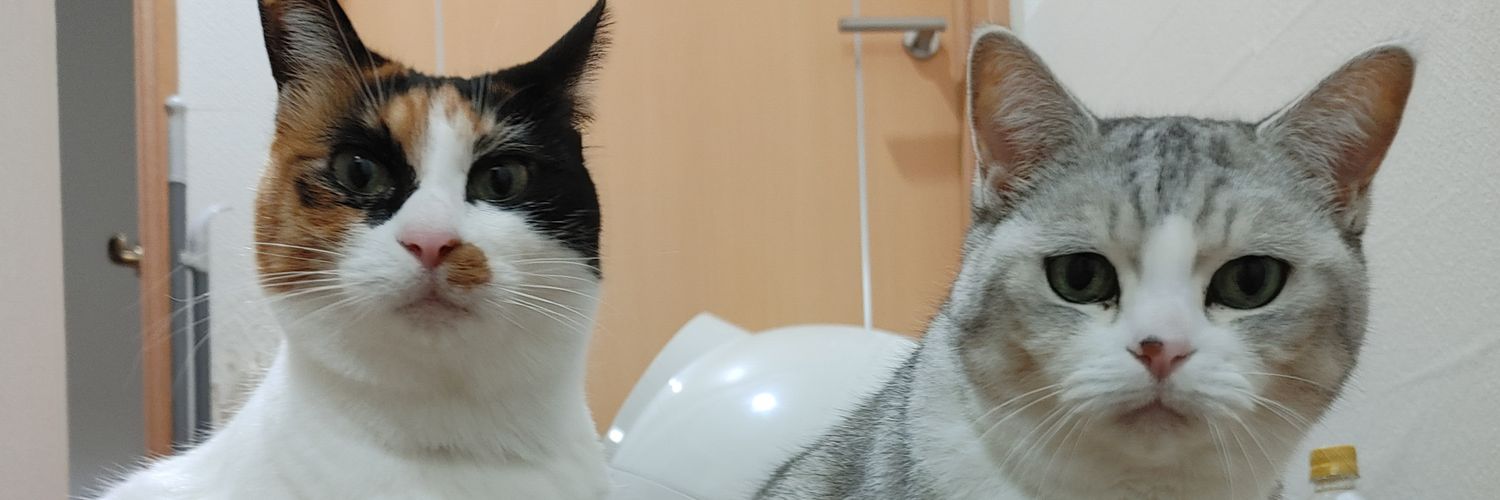 竜猫(どらねこ) banner