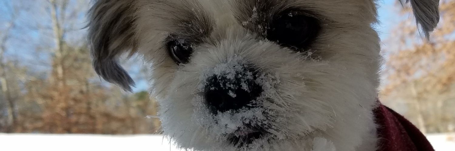 StaceMastrFlash's profile banner image