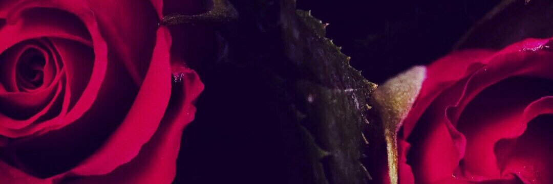 00ldaccount's profile banner image