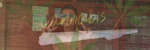 melow212's profile banner image
