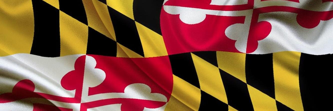 MDNewsFeed's profile banner image