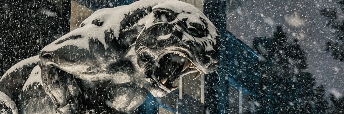 wizard_mac's profile banner image