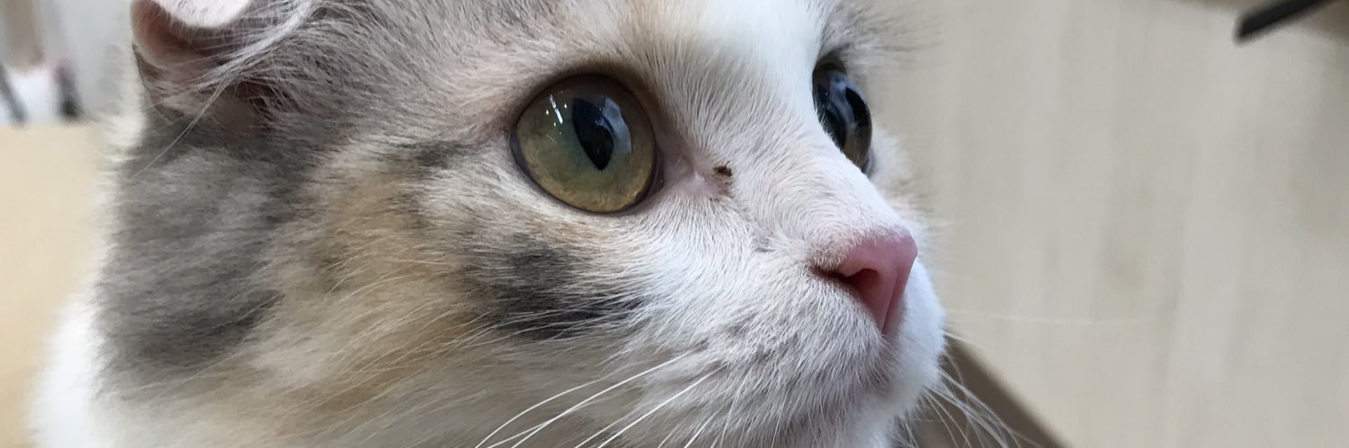 of_juice's profile banner image