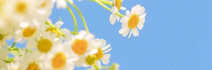 Agabrielap08's profile banner image