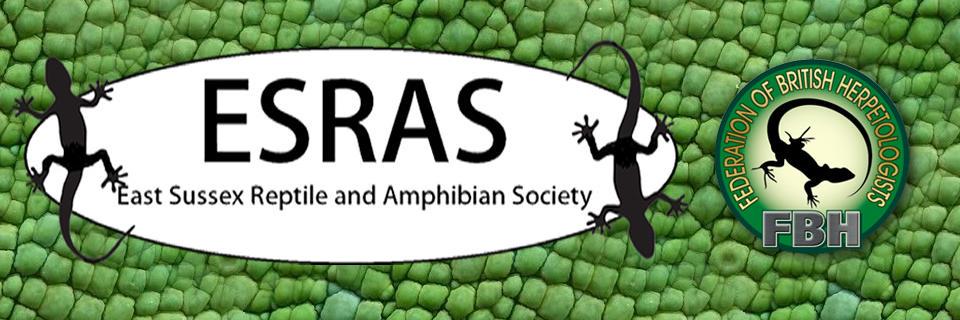 ESRAS_UK's profile banner image
