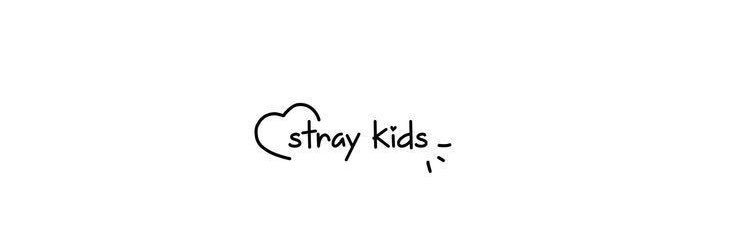 straylovelycb's profile banner image