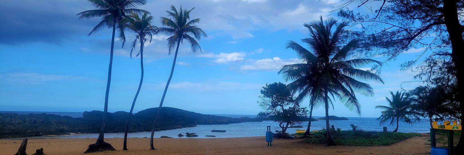 Manolo Barillas banner