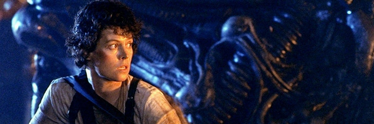 Catherine Gonzales banner