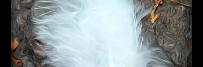 Charlene Barrientos (she, her, ella) banner