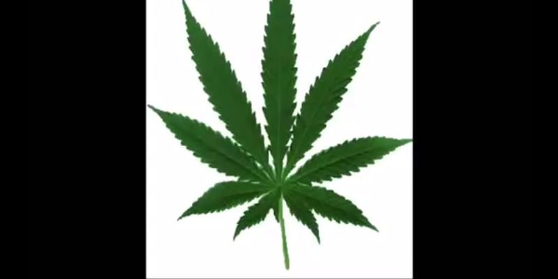 Danybibii's profile banner image