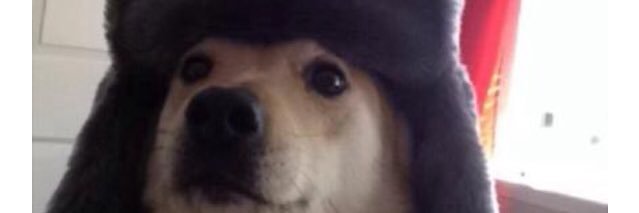Kayyds's profile banner image