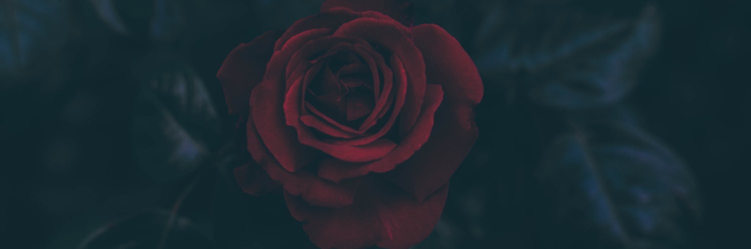 djnickrose's profile banner image
