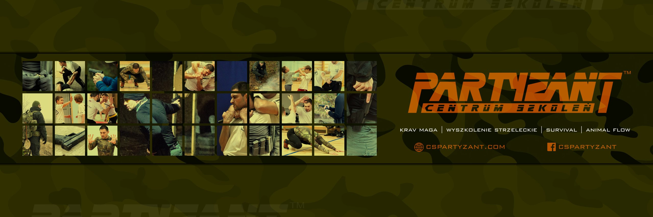 cspartyzant's profile banner image