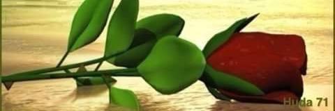 abdayoubi's profile banner image
