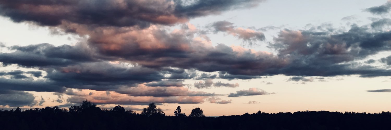 drmitzimoore14's profile banner image