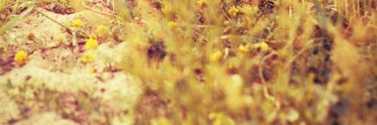 RyanGH_'s profile banner image