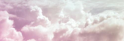 xtoyah's profile banner image