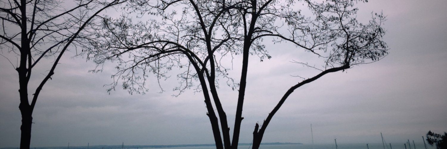 Aggelos Gesoulis banner